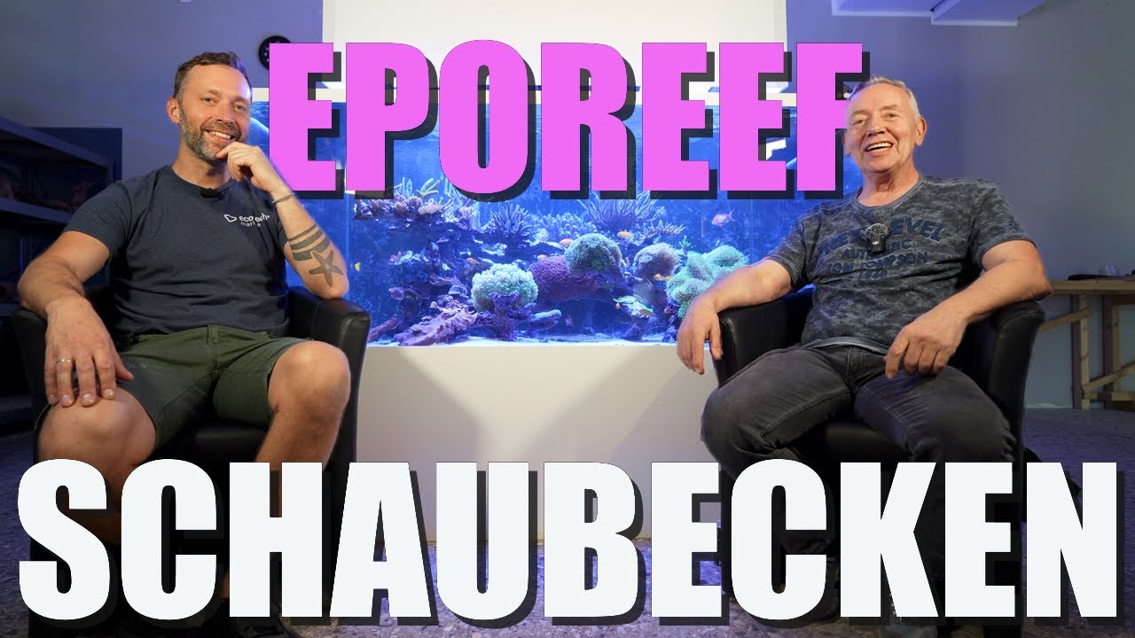 SKANDAL&Ouml;S!!! - 200x180x80cm MEERWASSERAQUARIUM - EPOREEF, Technik, Korallen, Probleme, L&ouml;sungen