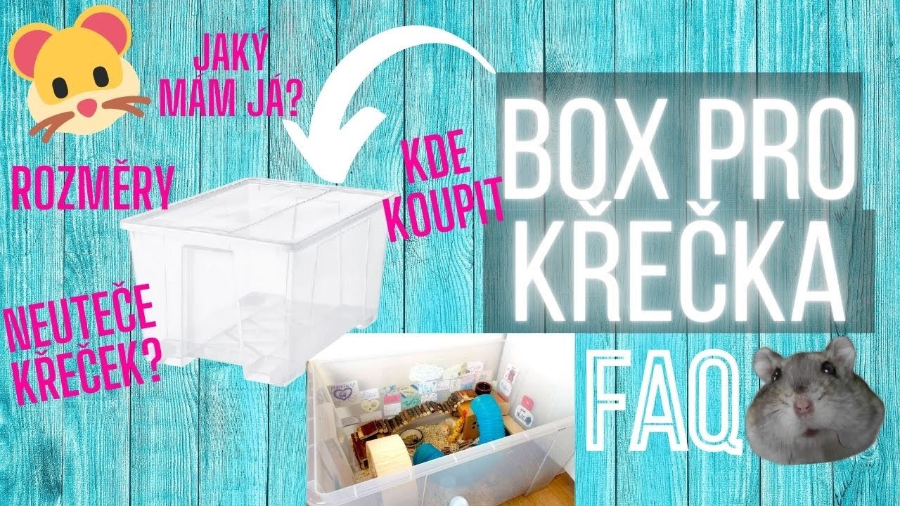 VŠE O BOXECH PRO KŘEČKY | Jaký box mám já, kde všude koupit, rozměry, neuteče z toho křeček? | FAQ