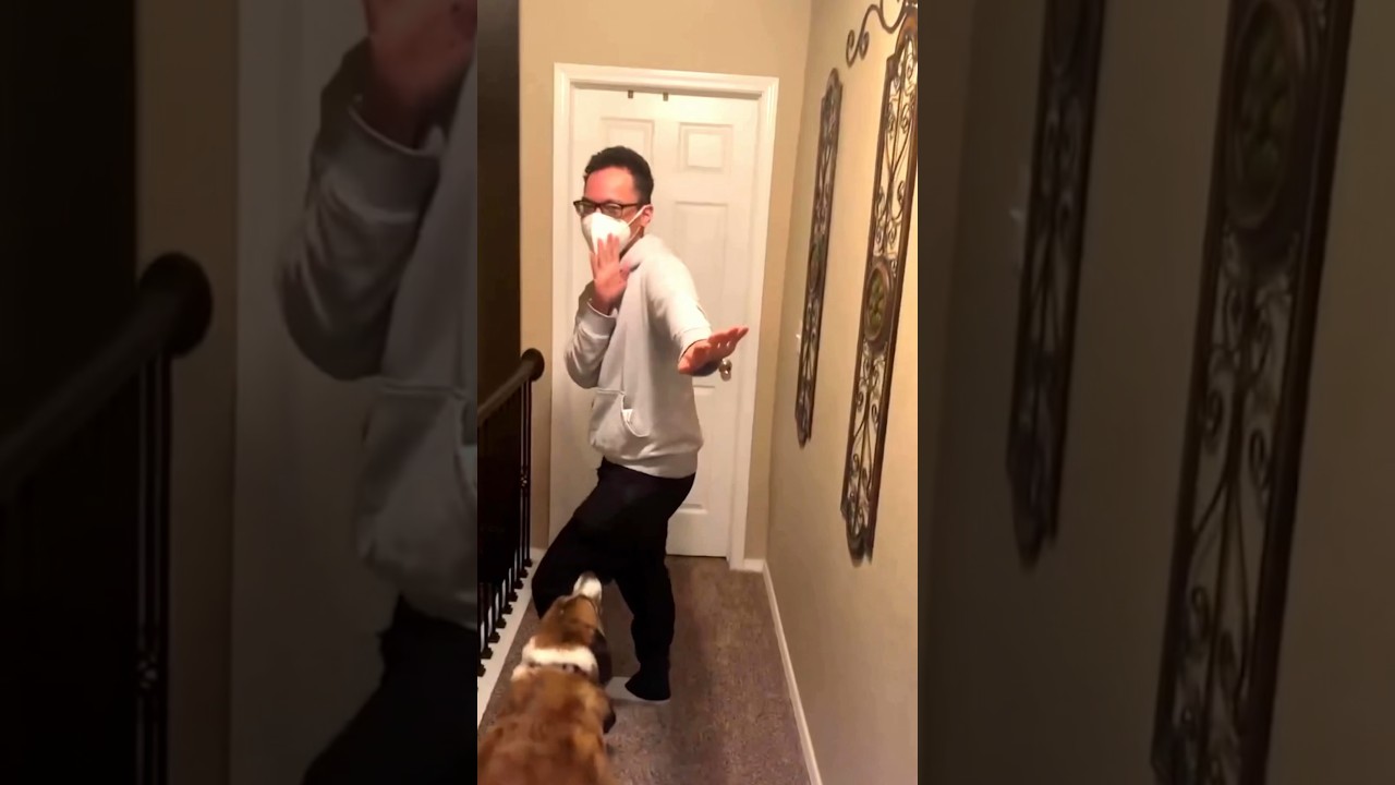 Этот военный сюрприз по случаю возвращения домой провалился 😂