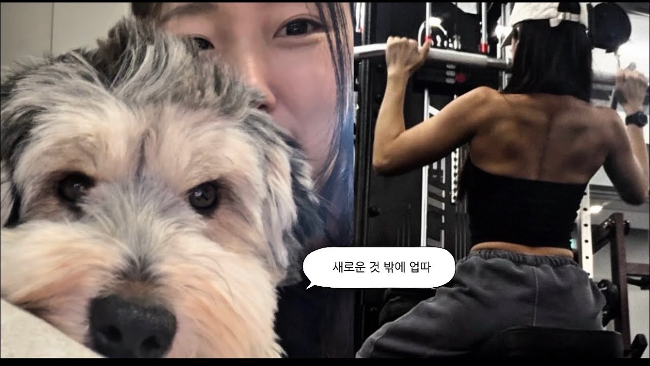 새로운 루틴, 새 직장, 새 헬스장 ( 운동 일상, 퇴사 후 , 파트 약사)