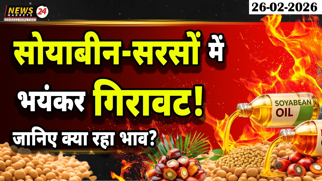 सरसो–सोयाबीन में भयंकर गिरावट 📉 | क्या रहा आज का भाव? | Tilhan Market Update