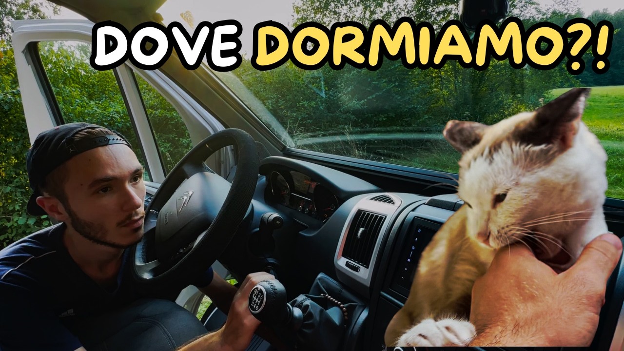 DIFFICILE TROVARE uno SPOT: giornata ASSURDA in camper 🇩🇪 📡