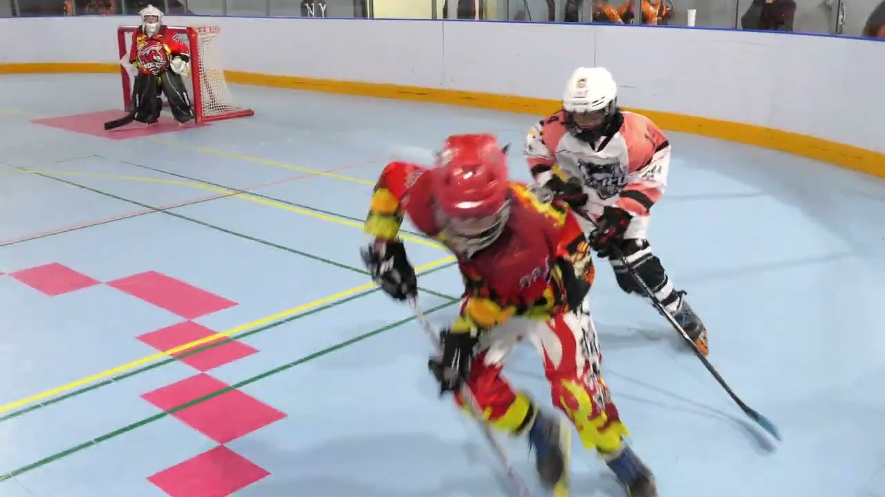 第52屆假日盃曲棍球全國聯賽 2026/02/28 固力果 V.S 勇士狼 (國小高A組)
