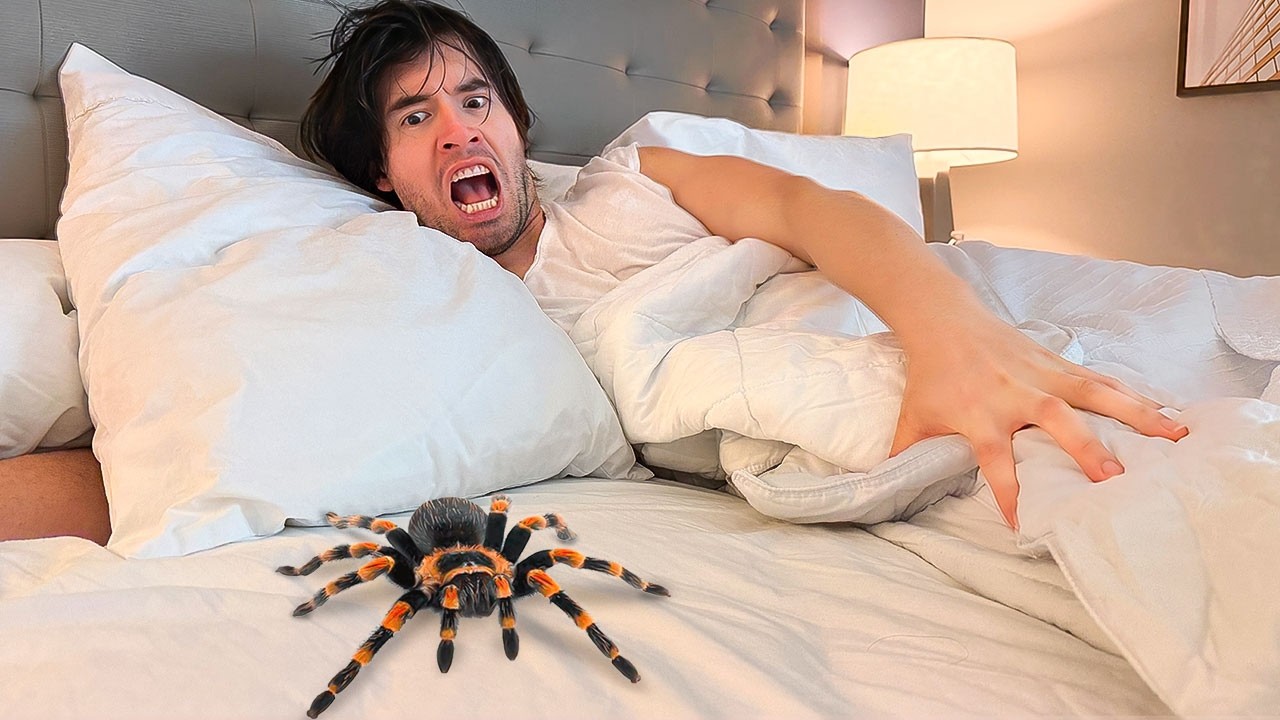 NO VEAS ESTE VIDEO si eres cobarde (como yo) 🕷️🕸️