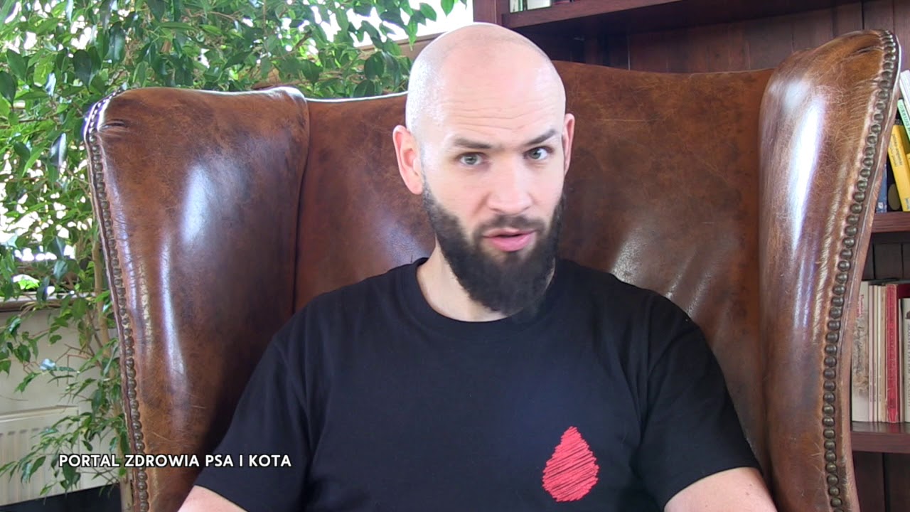 Ból gardła -  rozpoznać czy psa boli gardło? Czy koty cierpią na ból gardła? lek.wet. Franek Paśko