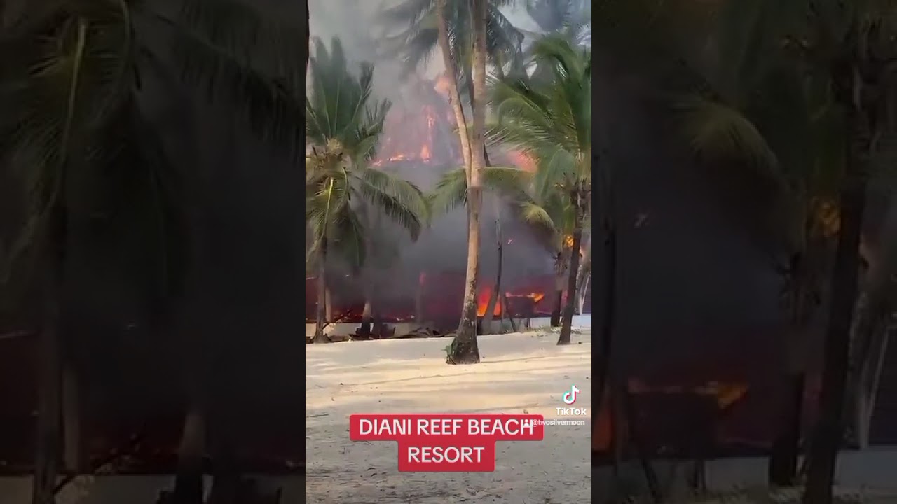 DIANI Reef