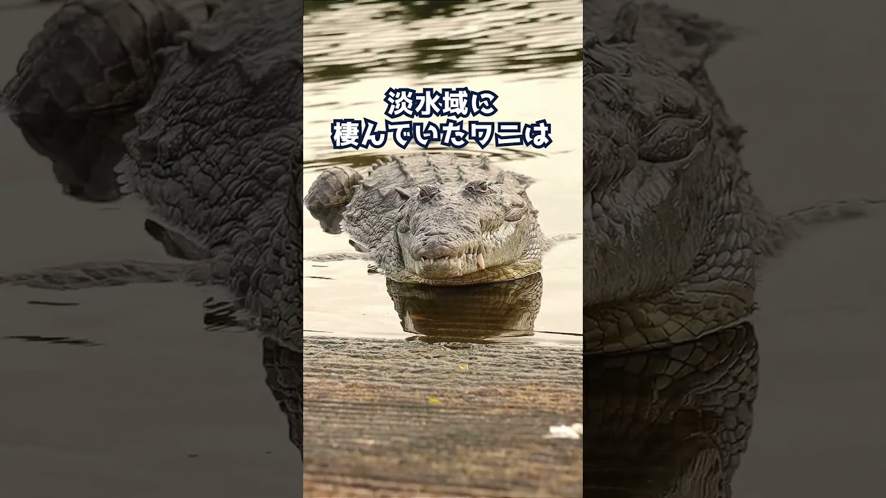 恐竜絶滅時になぜ生き延びられた生物がいたの？