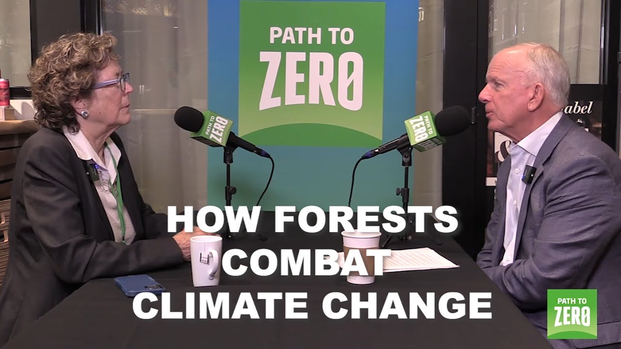 Path to Zero Podcast: How Forests Combat Climate Change with Laurie Wayburn of Pacific Forest Trust