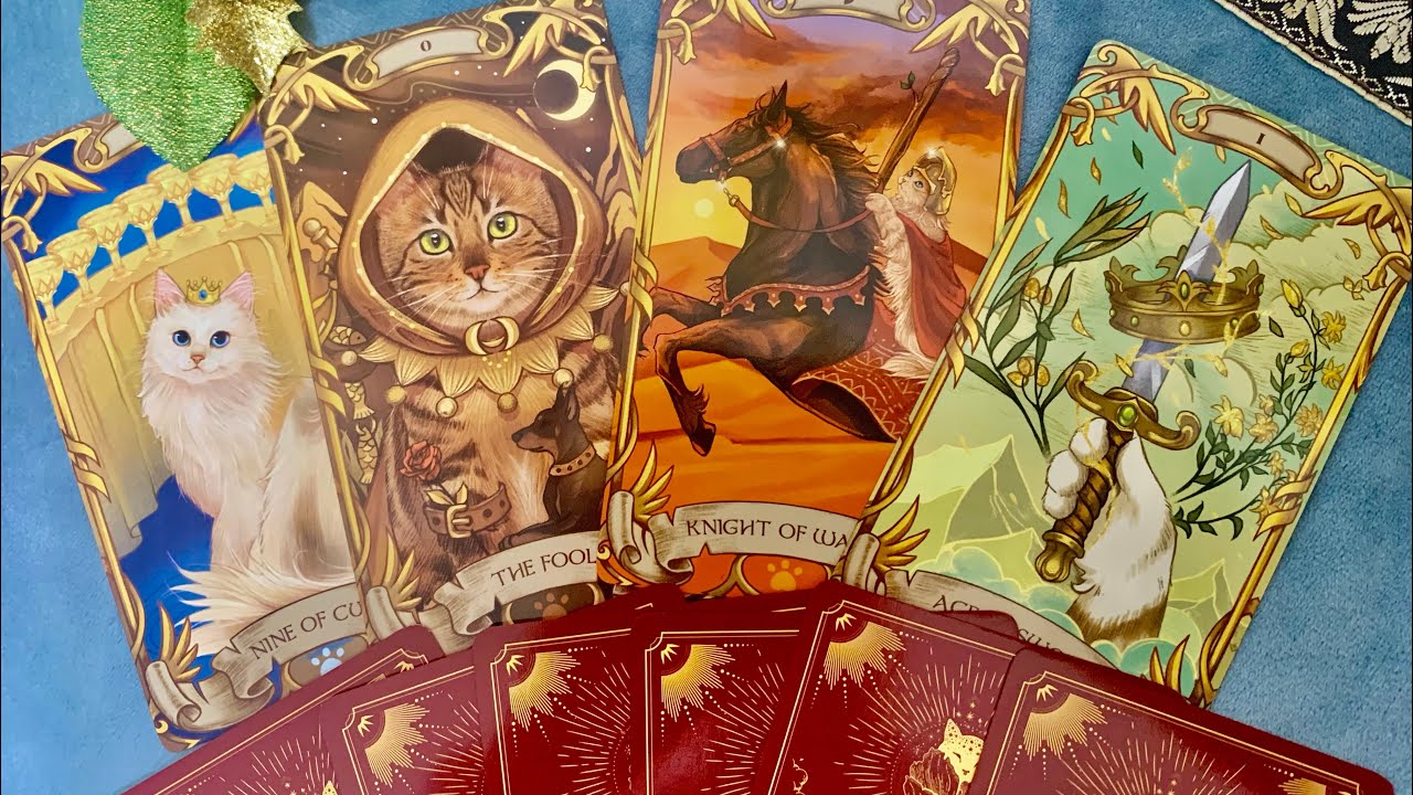 Обзор колоды «Nine lives Cat Tarot»🐈🐈‍⬛🐈Таро 