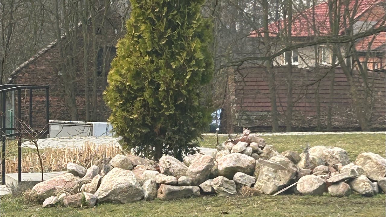 Gab Dob nadaje na żywo 12.03.2026r.