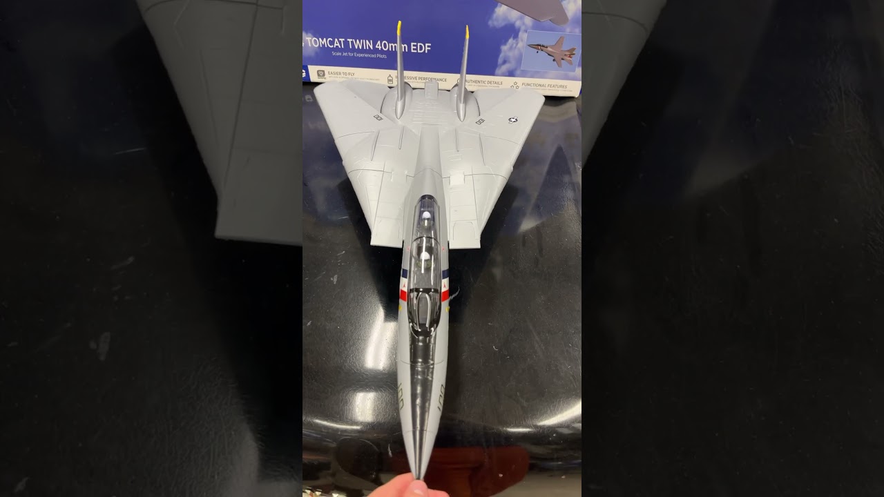 Just got my brand new F-14 tomcat RC