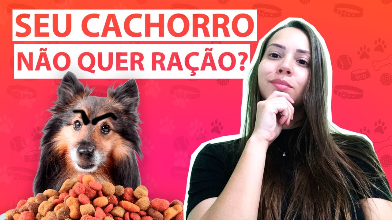 CACHORRO NÃO QUER COMER RAÇÃO? - Aprenda Como Resolver!