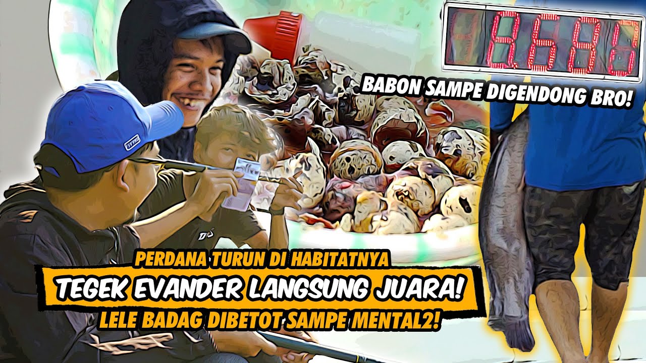 MANCING LELE BABON PAKE TEGEK DI JAWA TIMUR? DAIDO EVANDER TAKLUKAN! KOLAM PANCING LELE 88 SURABAYA
