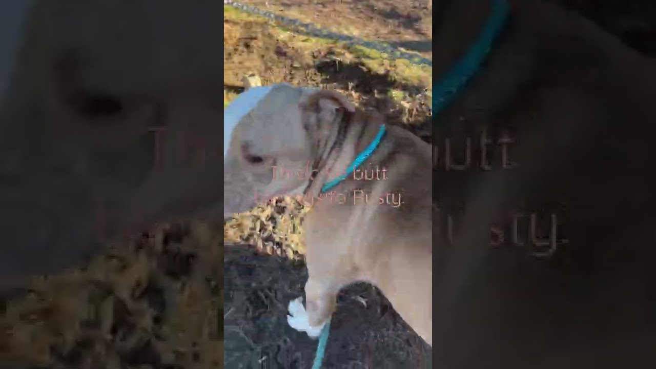 Cute butt, Rusty