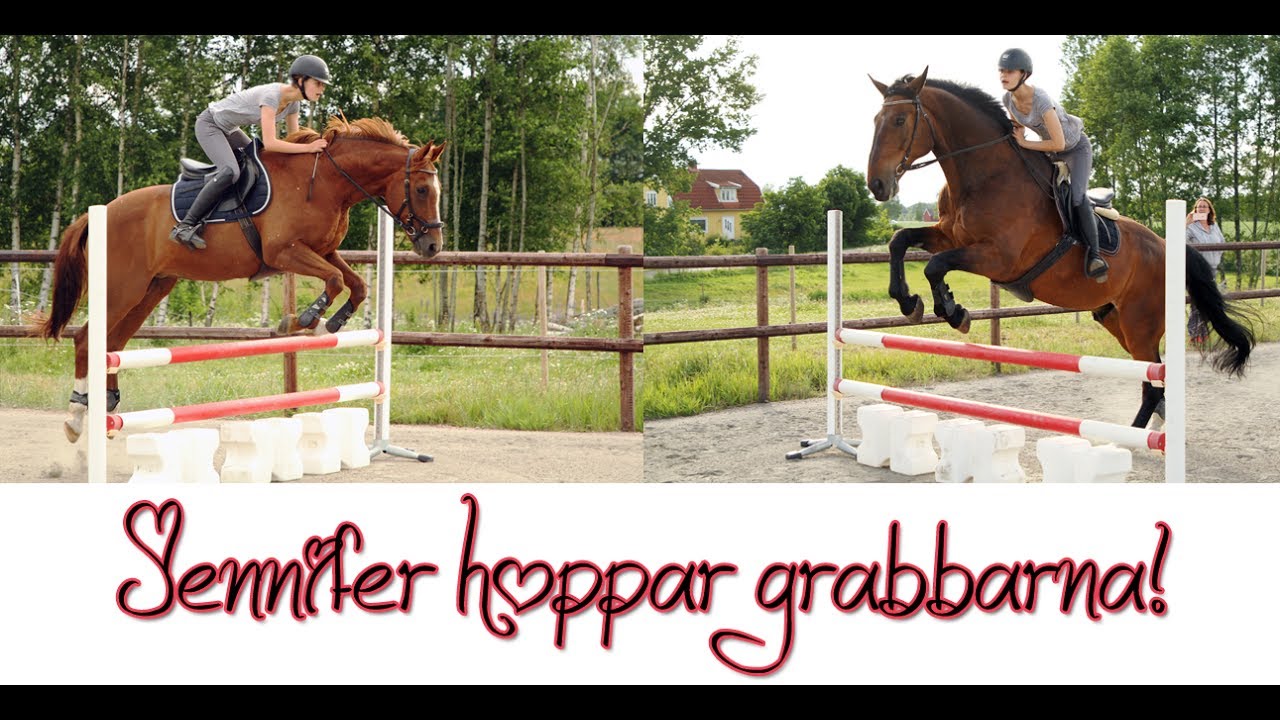 En dag i stallet - med Jennifer Bratt!