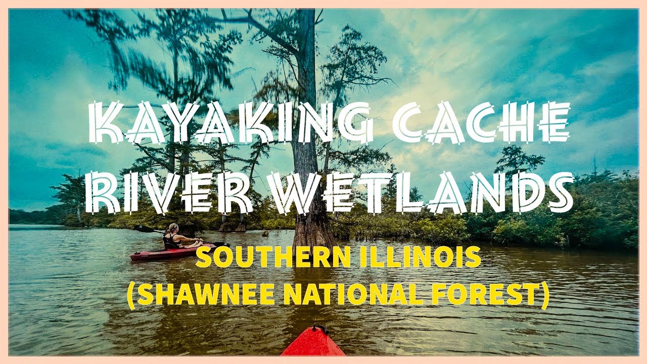 Kayaking Cache River Wetlands: Southern Illinois (Shawnee National Forest)