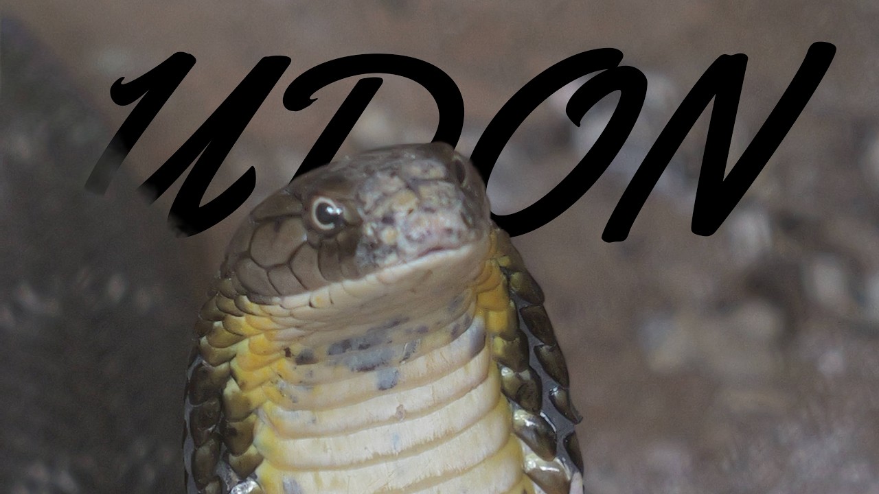 Udon Thani