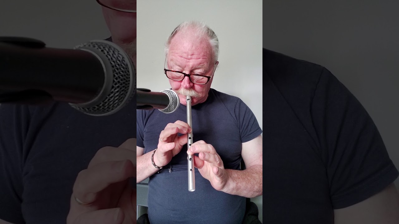 Spancil Hill tin whistle in D fingering tutorial  for my pupils