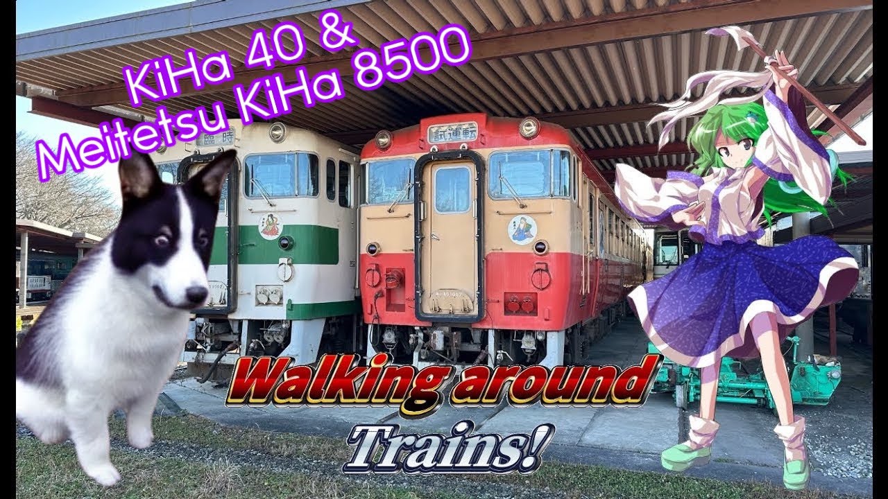 Waking around KiHa 40 Series & KiHa8500 Series #dieselcars #japaneserailway