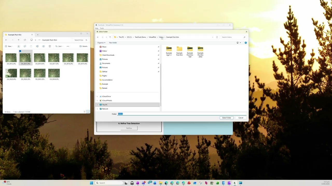 TreeTools Virtual Plot V2.13 - Tutorial - Image Processing Basic Workflow and Outputs