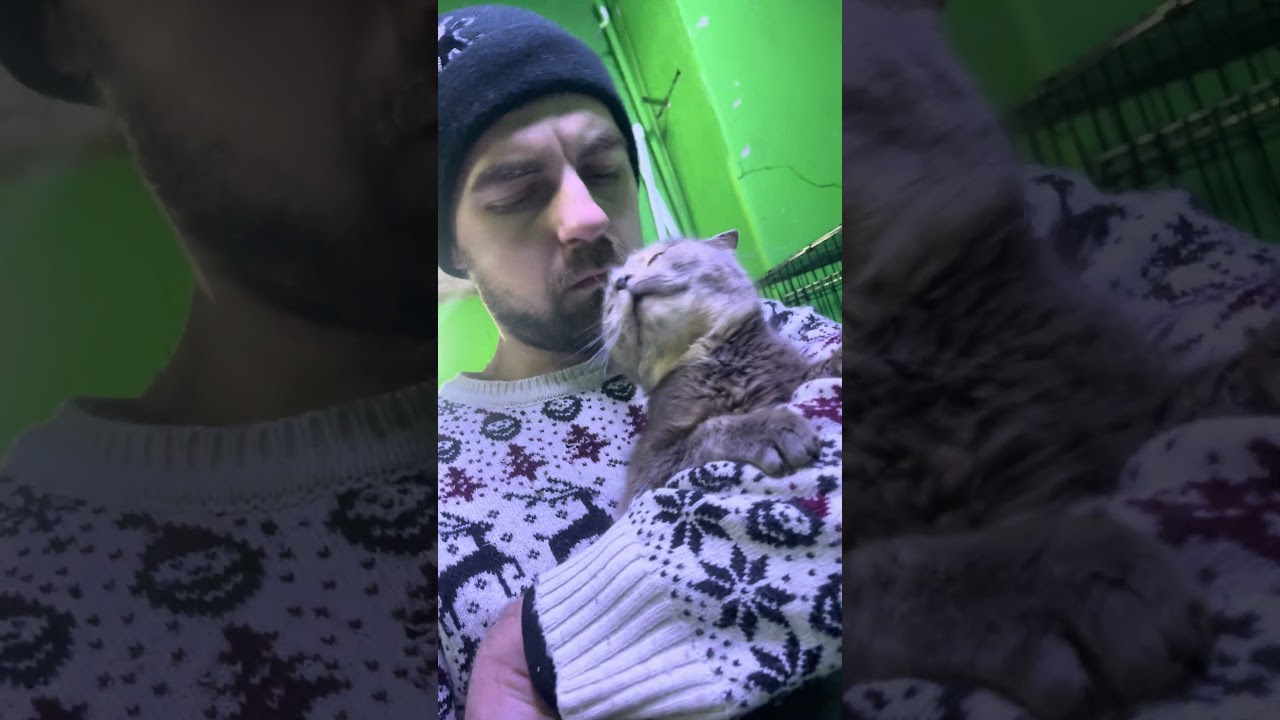 МиниБуся