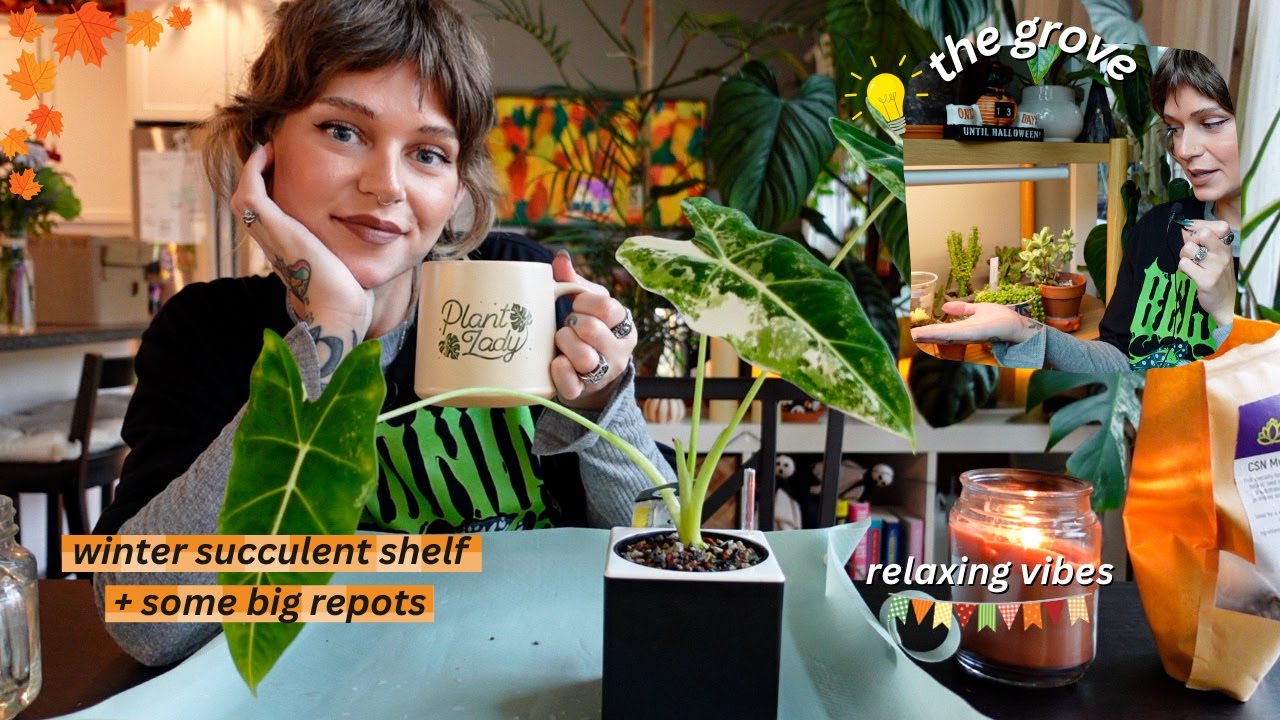 a cozy fall day of plant chores ☕️ new shelf set up, frydek goes into pon, & plant care chat 🌿