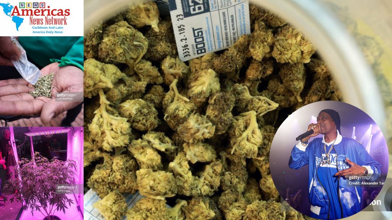 Marijuana News Today: Top Headlines in the Cannabis Industry