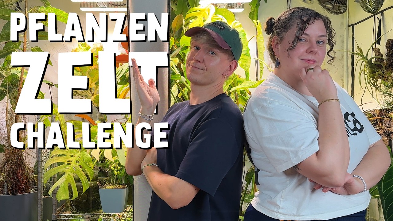 4 Stunden Pflanzenzelt CHALLENGE ⏰ Schaffe ich DAS bei meinen Zimmerpflanzen?