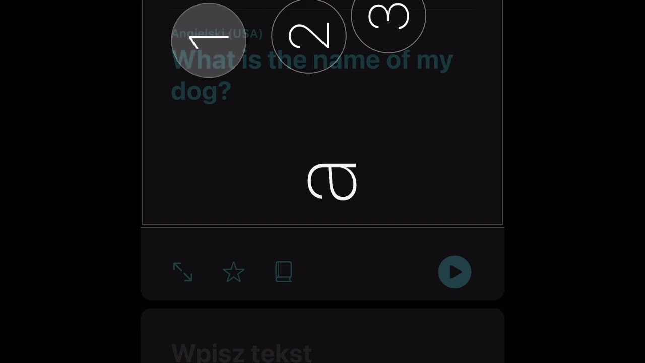 VoiceOver i aplikacja Tłumacz w systemie iOS / iPadOS © @PiotrWitek