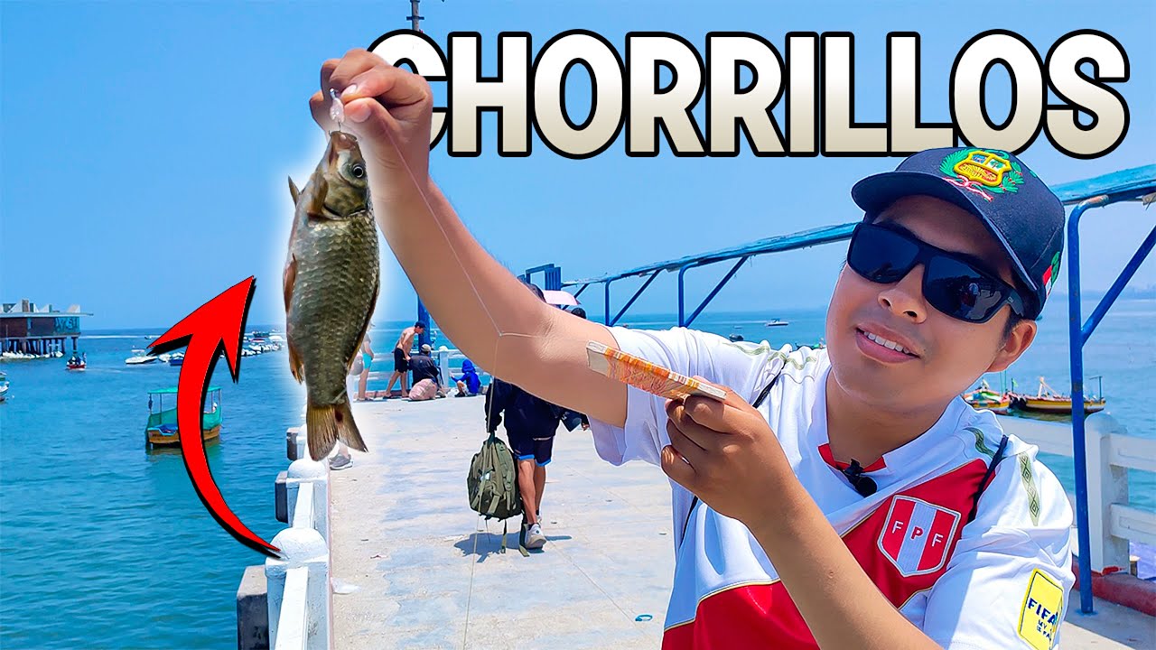 PESCANDO en CHORRILLOS por PRIMERA VEZ 🌊