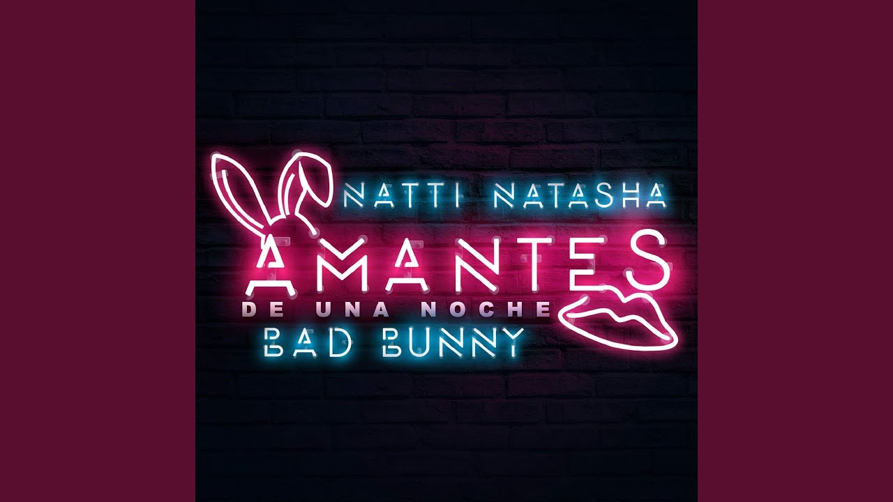 Amantes de Una Noche