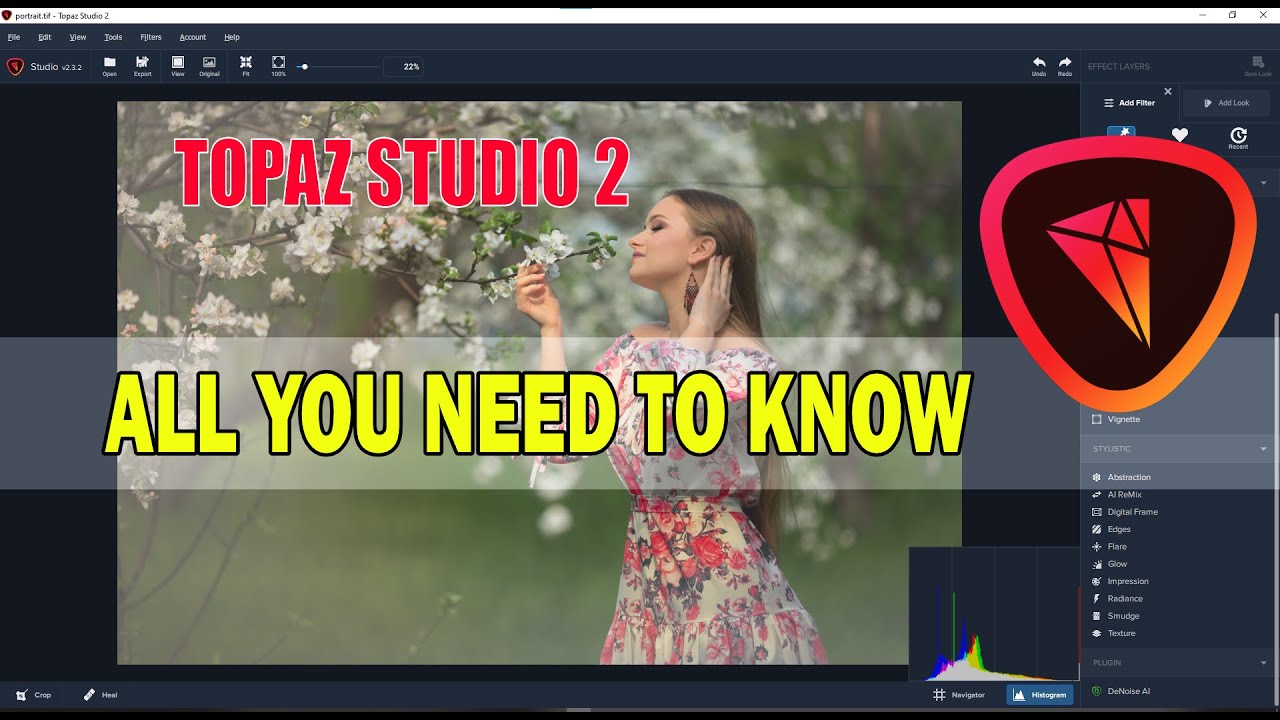 Новое простое и полное руководство по Topaz Studio 2 2021 для начинающих (программное обеспечение...