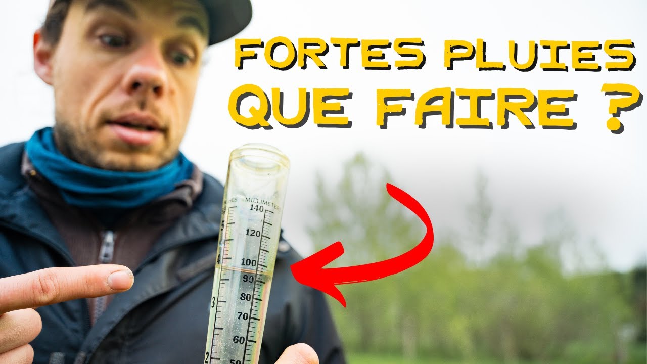 GUIDE COMPLET pour les saisons pluvieuses au potager 🌧️ 7 conseils