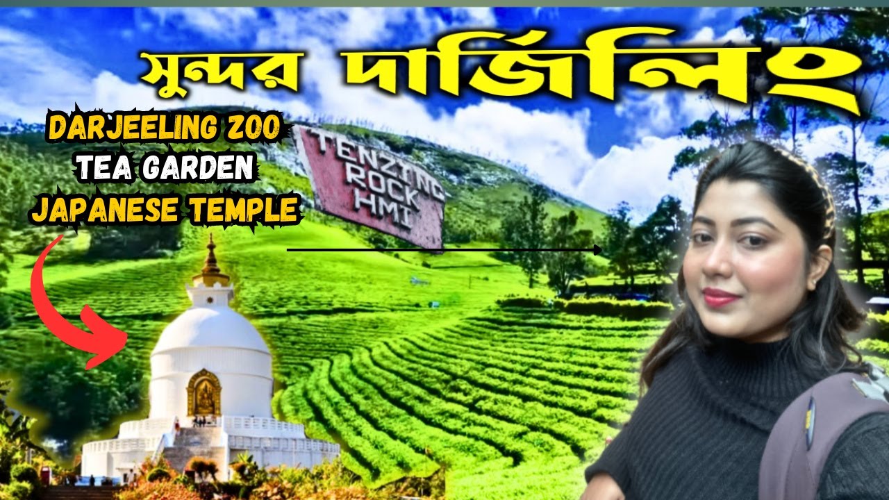 Darjeeling Tour Guide | Darjeeling Zoo ,Tea Garden, Tenzing Rock & Japanese Temple Darjeeling