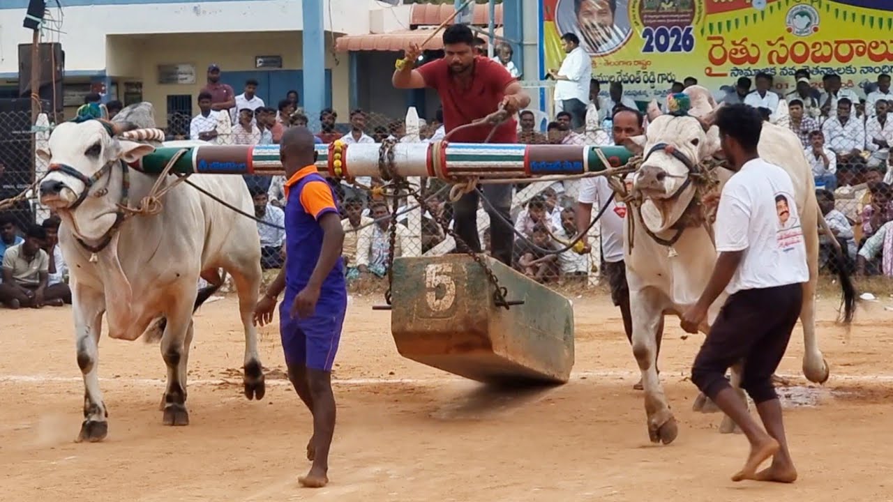 ఉత్తనూరు సీనియర్ విభాగం బండలాగుడు పోటీలు 8వ జత K రామాంజనేయులు గార్లదిన్నే అఖండ & బహుబలి