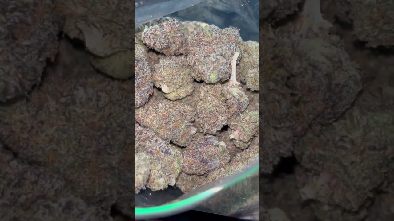 Big za best weed strain ever!! This a sativa