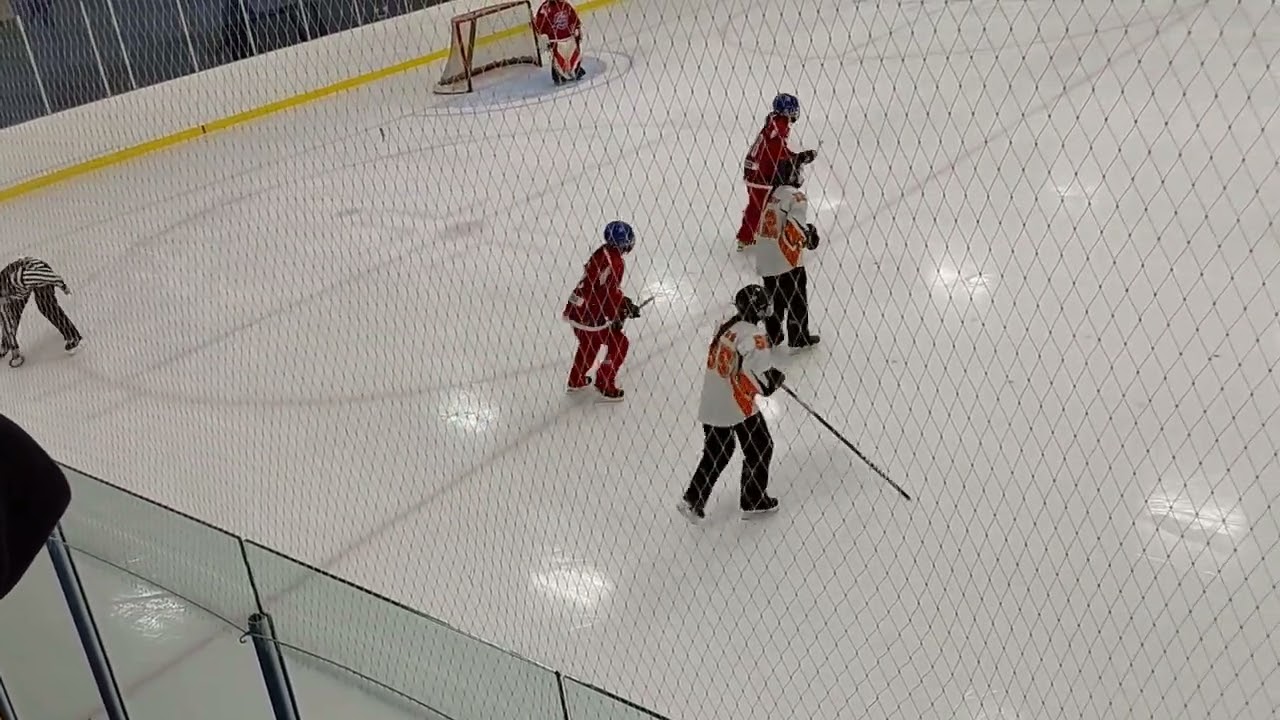 Partie 31 janv tournoi Gloucester vs Calgary Havoc