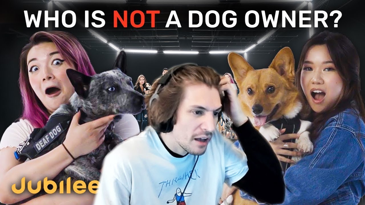 Who is not the dog owner? | xQc Jubilee Reaction
