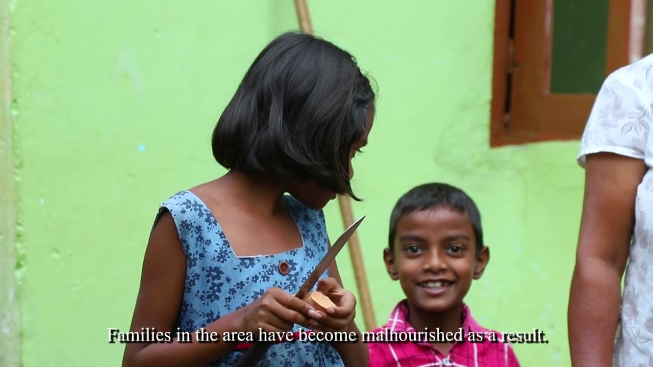 Home Gardening for Food Security – DeREC Project (Badulla)