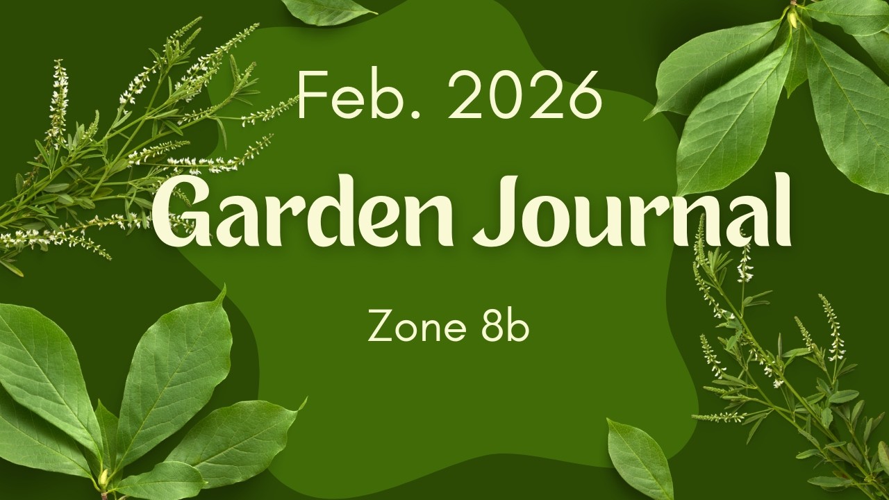 Feb. 2026, Garden Journal, Zone 8b