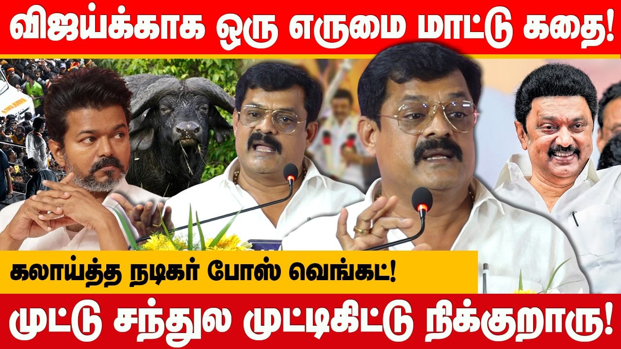 விஜய்க்காக ஒரு எருமை மாட்டு கதை!கலாய்த்த நடிகர் போஸ் வெங்கட்! actor bose venkat trolls tvk vijay
