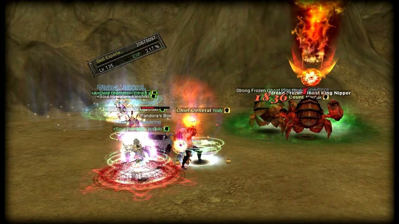 Silkroad Online 2025 | Server Brontes | Naty Hits Lvl 135 !