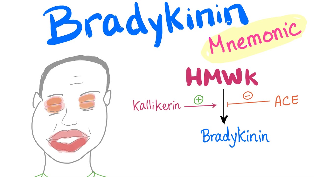 Bradykinin - with a Mnemonic