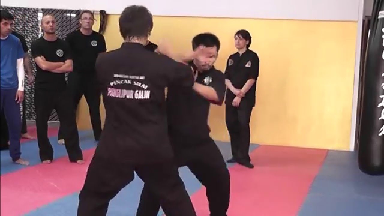 Pencak Silat drill - Cecep Arif Rahman and Claudio Conti