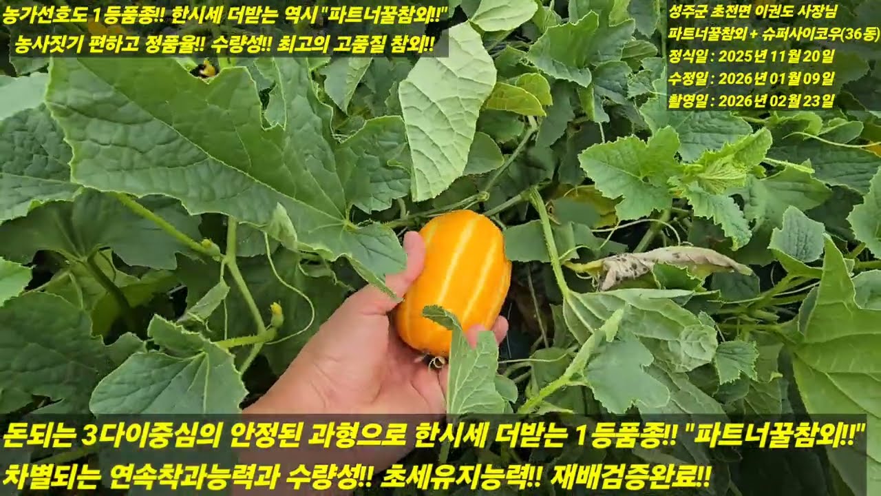 [파트너꿀참외] 역시 1등은 