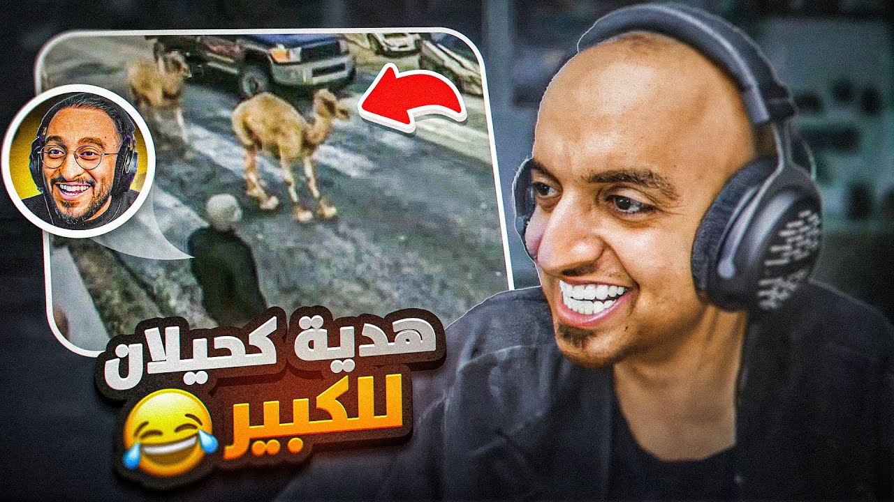 ميمز ريسبكت #1 هدية ال كايد للكبير 🤣🤣🔥