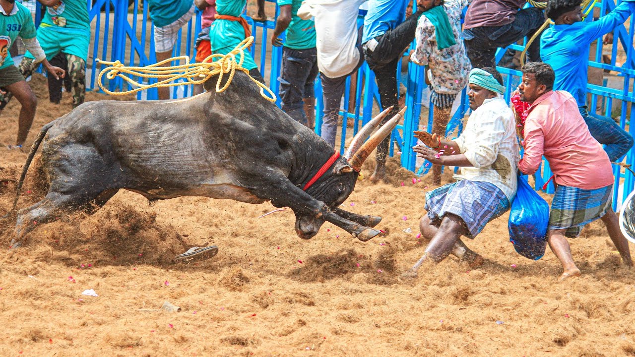 Keelakarai Jallikattu 2026 | மதுரை கிழக்கு தொகுதி கீழக்கரை ஜல்லிக்கட்டு 2026 Videos