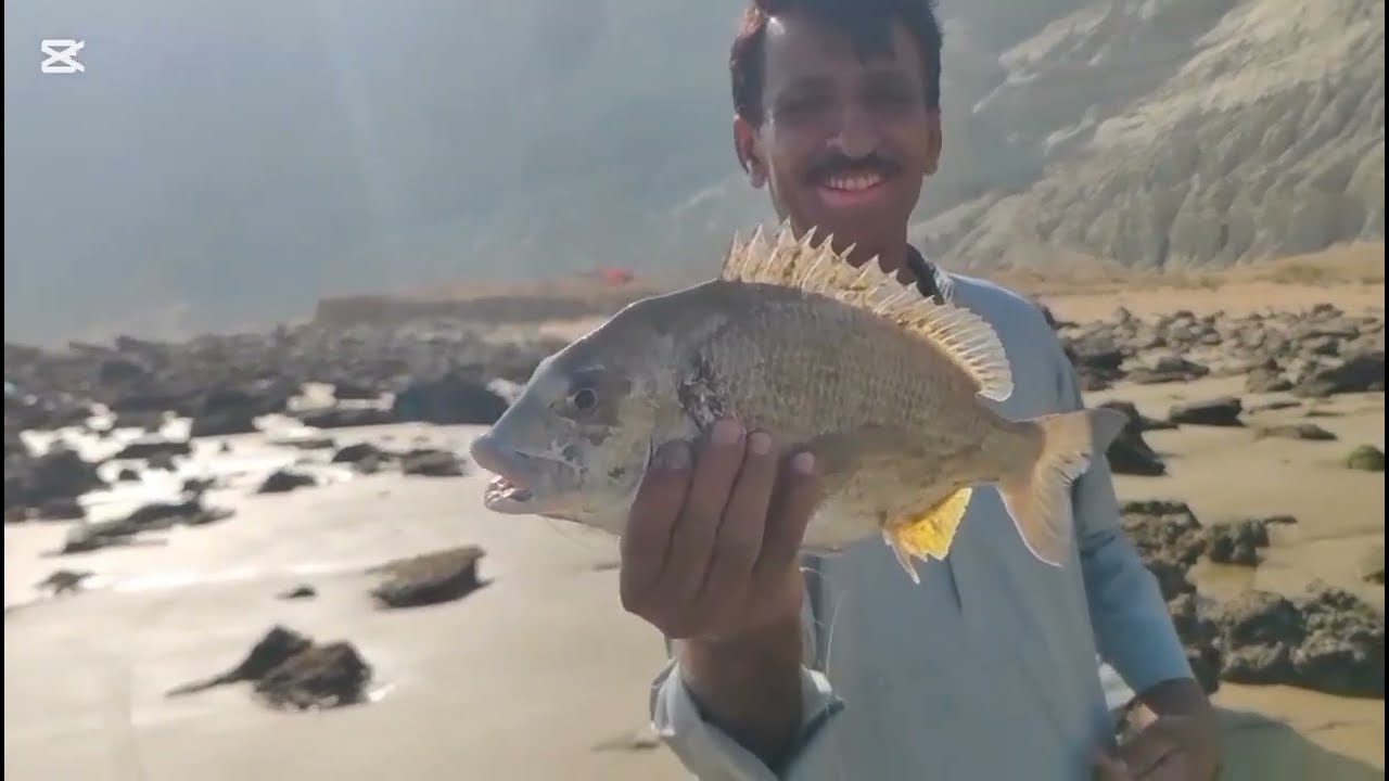 Vvip program rasmalan Balochistan 🐟#beachfishing #trending #travel 