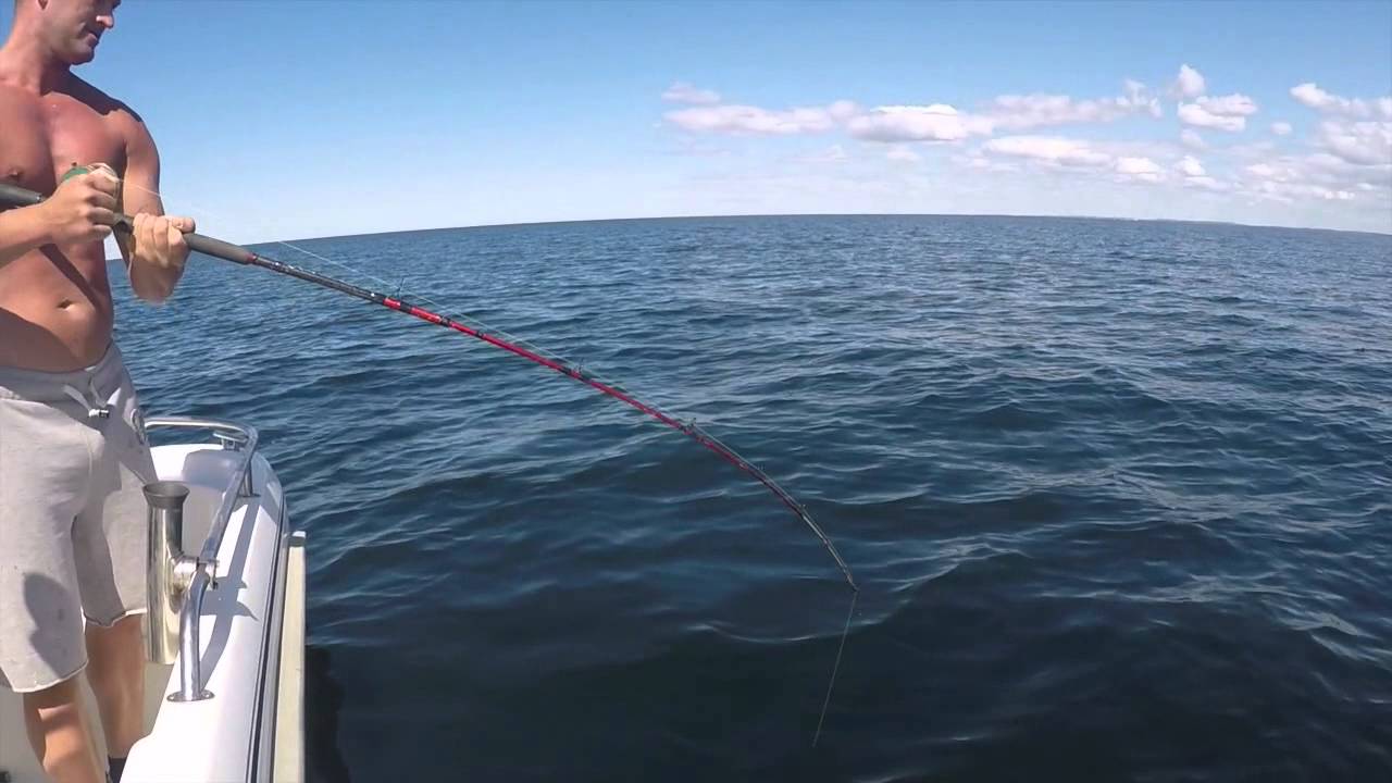 Torskfiske på vrak längs svenska västkusten. Filmat med Gopro