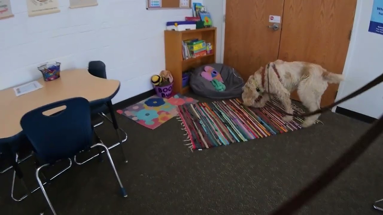 Strafford PA ELT P Safe Spaces 6 min Unknown 7 hides 2 15 26